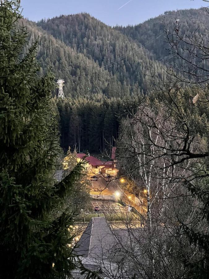 Vila Condor Poiana Brasov Extérieur photo